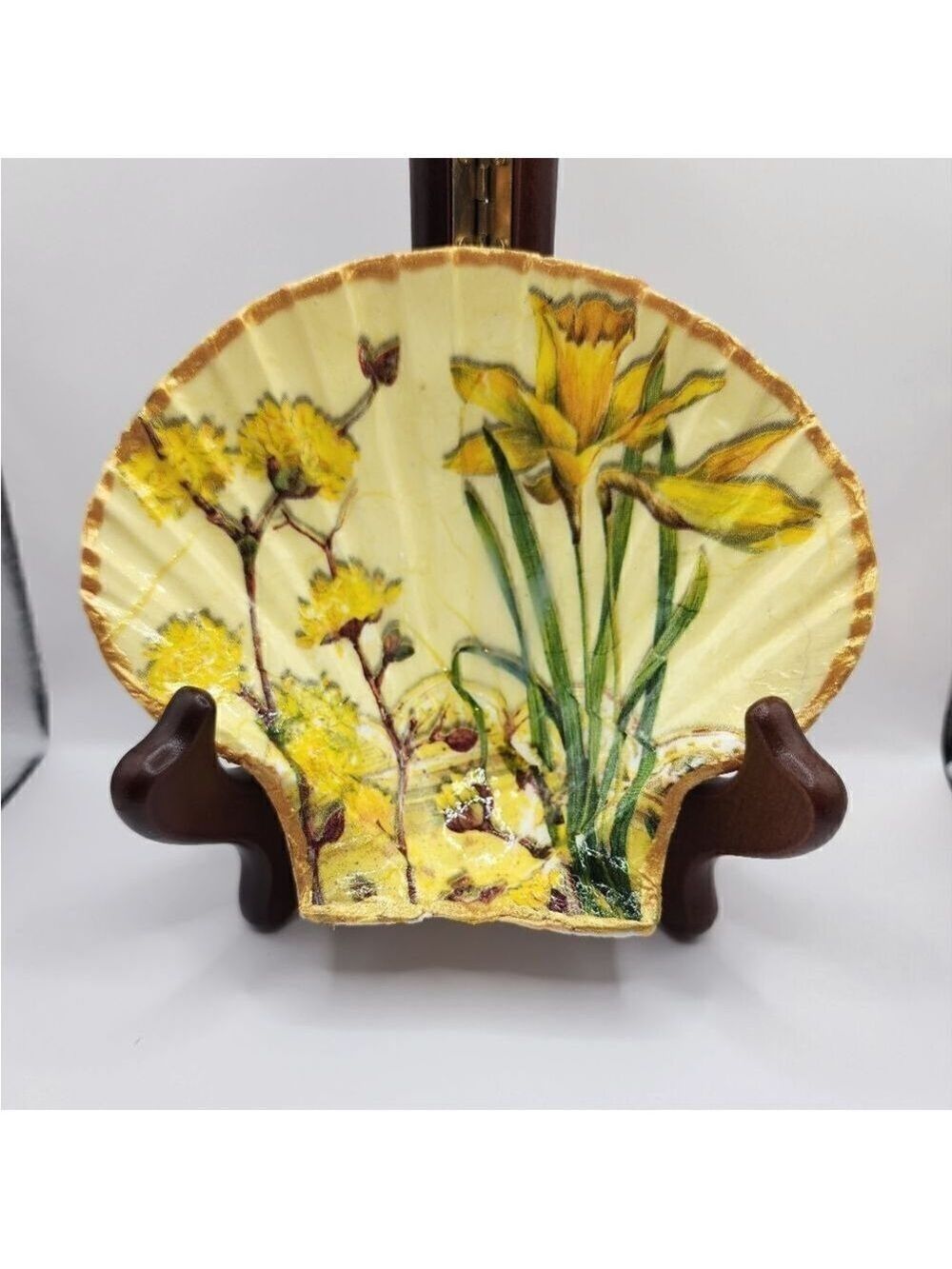 SCALLOPED FAN SHELL 